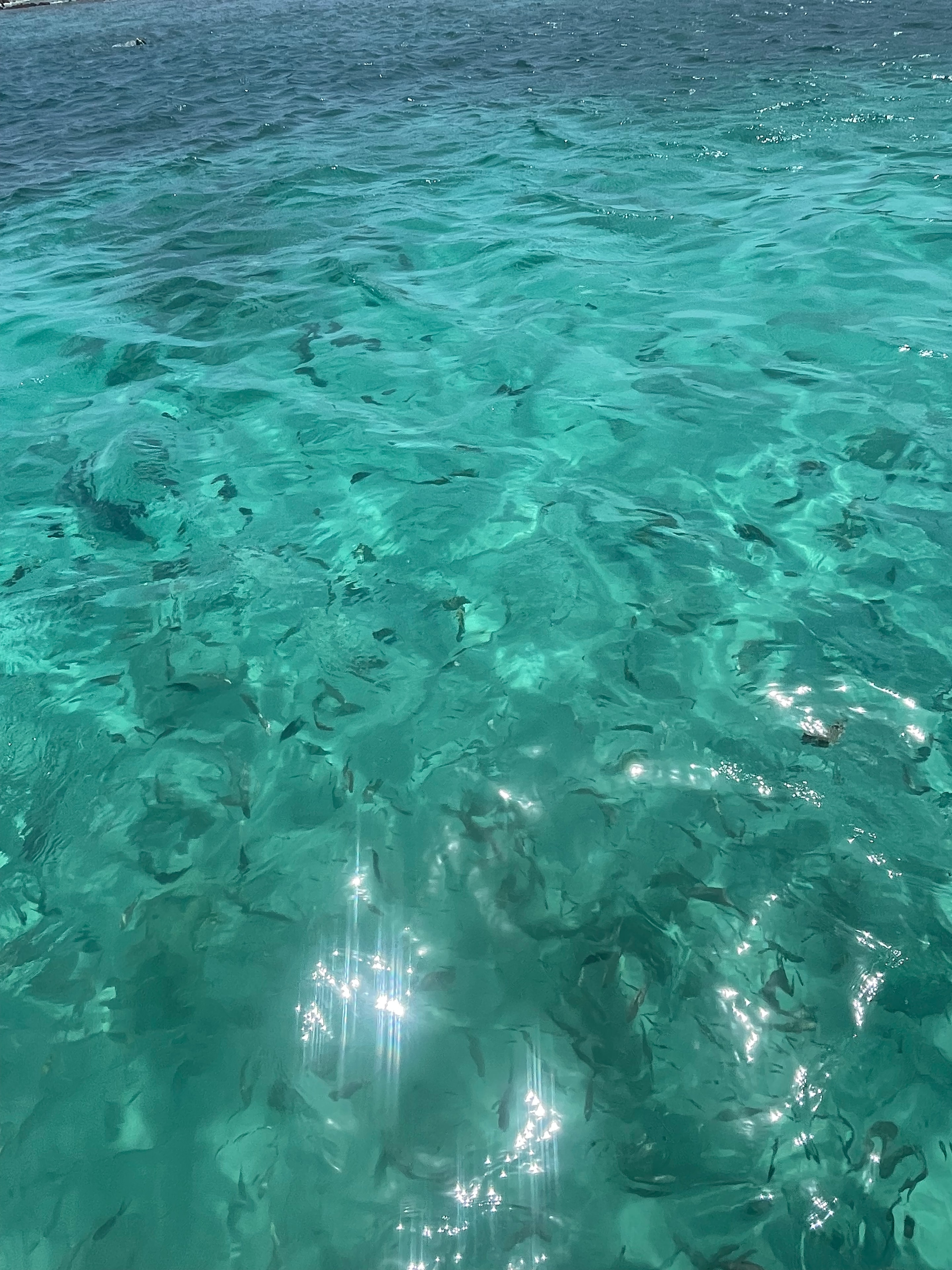 Snorkel Trip